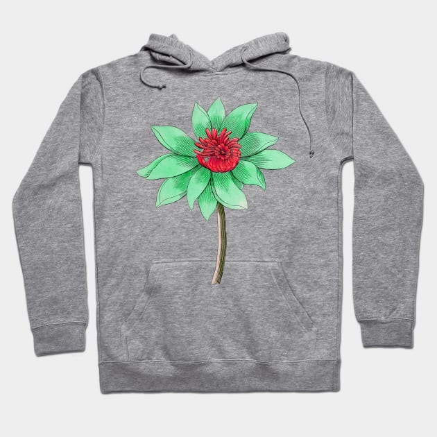 Green and Red Lotus Flower Hoodie by sara99